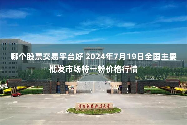 哪个股票交易平台好 2024年7月19日全国主要批发市场特一粉价格行情