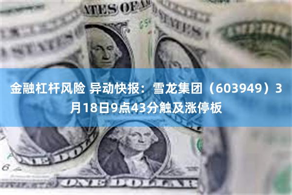 金融杠杆风险 异动快报：雪龙集团（603949）3月18日9点43分触及涨停板