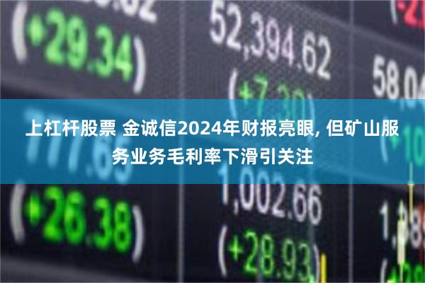 上杠杆股票 金诚信2024年财报亮眼, 但矿山服务业务毛利率下滑引关注