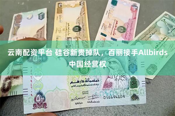 云南配资平台 硅谷新贵掉队，百丽接手Allbirds中国经营权