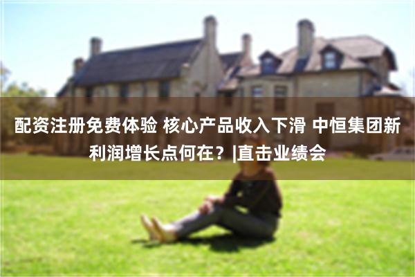 配资注册免费体验 核心产品收入下滑 中恒集团新利润增长点何在？|直击业绩会