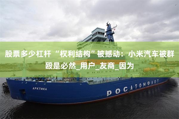 股票多少杠杆 “权利结构”被撼动：小米汽车被群殴是必然_用户_友商_因为