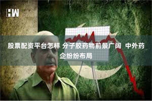 股票配资平台怎样 分子胶药物前景广阔  中外药企纷纷布局