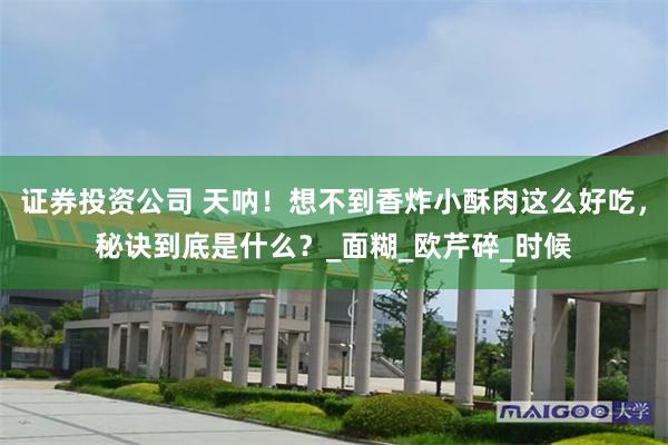 证券投资公司 天呐！想不到香炸小酥肉这么好吃，秘诀到底是什么？_面糊_欧芹碎_时候