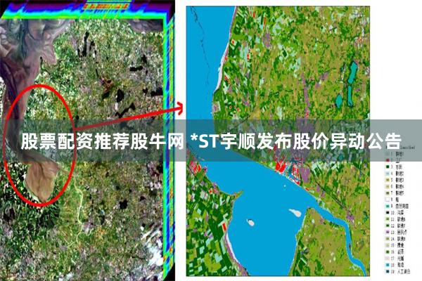 股票配资推荐股牛网 *ST宇顺发布股价异动公告