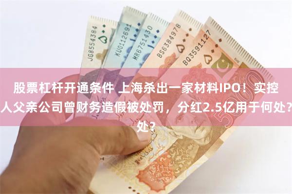 股票杠杆开通条件 上海杀出一家材料IPO！实控人父亲公司曾财务造假被处罚，分红2.5亿用于何处？
