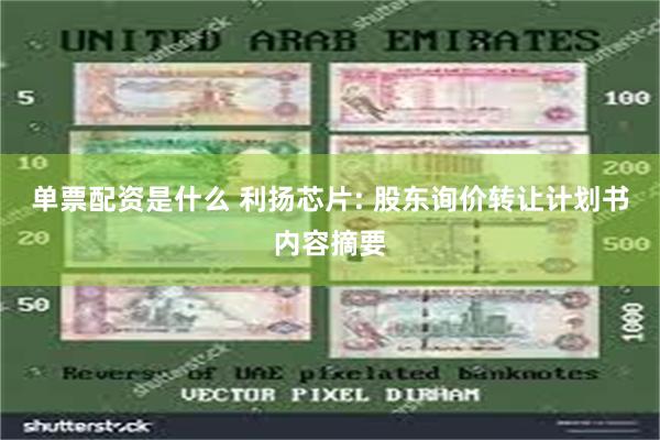 单票配资是什么 利扬芯片: 股东询价转让计划书内容摘要