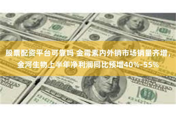 股票配资平台可靠吗 金霉素内外销市场销量齐增，金河生物上半年净利润同比预增40%-55%