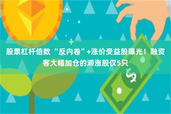 股票杠杆倍数 “反内卷”+涨价受益股曝光！融资客大幅加仓的滞涨股仅5只