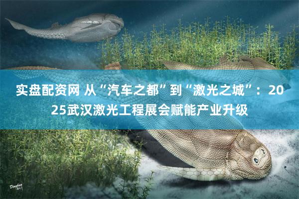 实盘配资网 从“汽车之都”到“激光之城”：2025武汉激光工程展会赋能产业升级