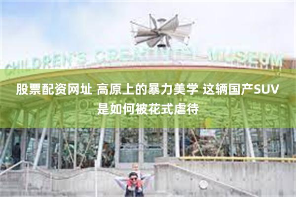 股票配资网址 高原上的暴力美学 这辆国产SUV是如何被花式虐待